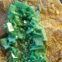 e-Rocks Mineral Auctions